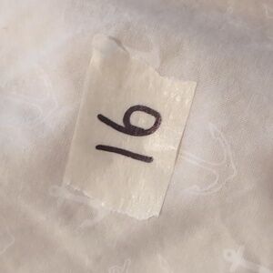 #16 anchor